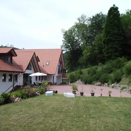 Glattbacher Hof アパート Lindenfels